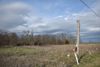910 US Hwy 60 photo
